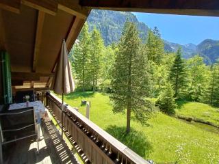 Chalet Filfalle - Kandersteg - 9
