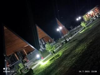 Olive garden 2 farm - Ulcinj - 8