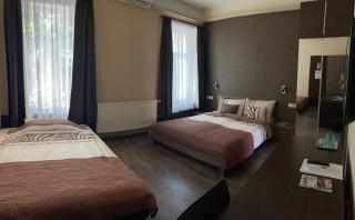 Fig Tree House - Budapest - 8