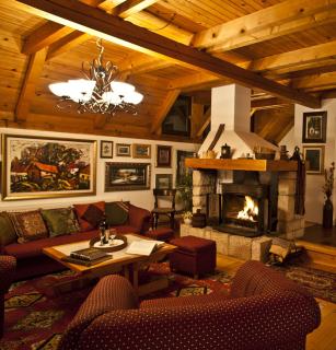 Villa Đurić Superior - Zlatibor - 6