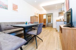 Apartmán Hugo Blatná - 6