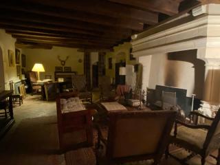 Chateau d'Ingrandes - Ingrandes - 7