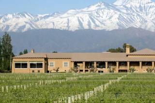 Departamento en tierra Malbec - Ciudad Lujan de Cuyo - 2