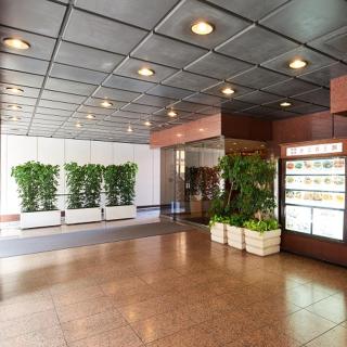 Marroad Inn Akasaka - Tokio - 8