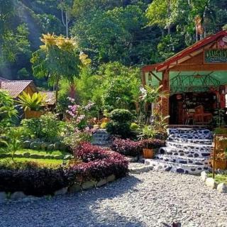 Lucky Bamboo'Bungalows-Resto and Orangutan Jungle Trekking Tours - Bukit Lawang - 4