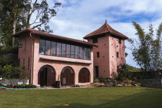 Mango Hill Yercaud - 5