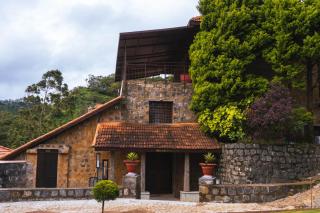 Mango Hill Yercaud - Yercaud - 8