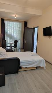 Casa Cojocaru- camere de închiriat în scop turistic - Drobeta-Turnu Severin - 5