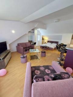 Apartmani Milojić - Soko Banja - 4