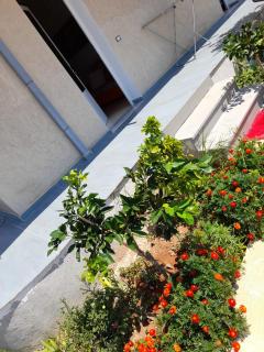 Rey Garden Villa - Vlorë - 3