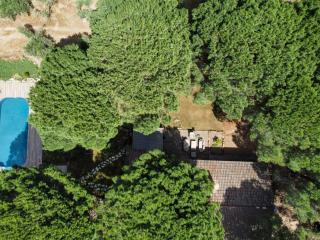 Domaine d'Arena Casa Zinzala - Porto-Vecchio - 8