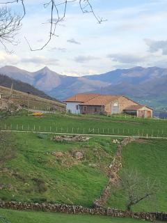 Maison chulubitenia - Irouléguy - 9