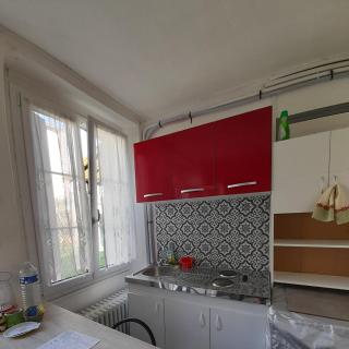 Fleurs de loutus 2 - Romilly-sur-Seine - 4