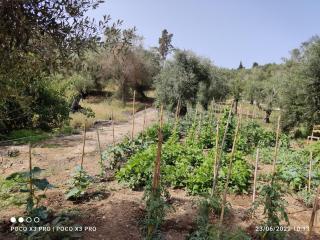 CORFU OASIS studio - Neochorákion - 1