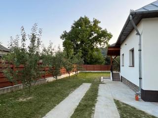 Casa Ana Corbșori - Corbşori - 9