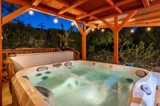 Poolside Palm Springs Paradise - 7