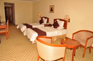 Dreamliner Hotel - 8