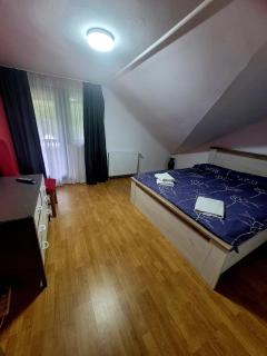 Casa Delia - Slănic-Moldova - 3