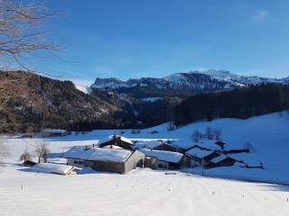 Gschwendtnerhof App10 KrausW - Aschau im Chiemgau - 8