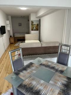 Apartman Hotonj-Sarajevo - Sarajevo - 3