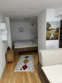Apartman Hotonj-Sarajevo - 2
