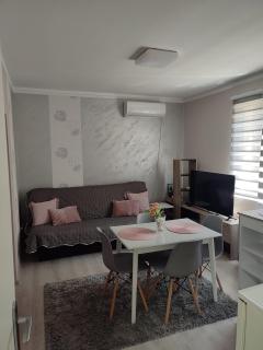 MM house - Vrnjačka Banja - 7