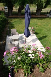 Camping des Saules - Jurbise - 8