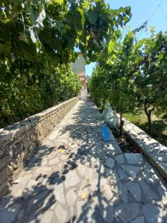 Vila Dervish ÇELA - MOKER - Pogradec - 8