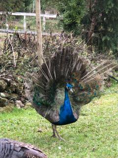 Pousada Ilhas Do Sol - 4