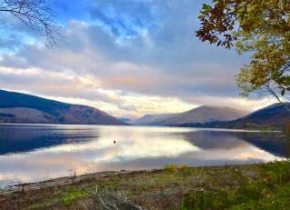 Seal Point Cabin - Luxury Glamping - 9