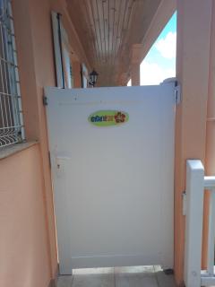 Oiseau de Paradis - 5