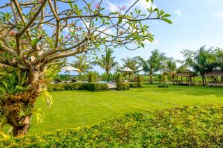 Canggu Wooden Green Paradise - 3