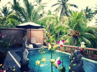 Villa Cilinaya Ubud - Ubud - 0