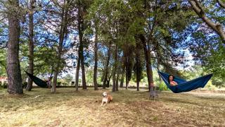 Holiday Home Jaga - Biograd na Moru - 7