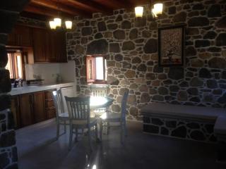 Loutra Olive Garden Stone House #3 - Mandrakion - 2