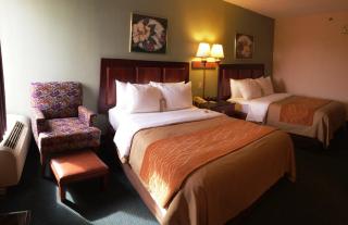 Comfort Inn Lexington Virginia Horse Center - Lexington - 5