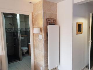 Compostela - Le Puy-en-Velay - 2