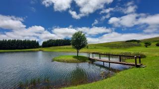 Apple Blossom Cottage - 9