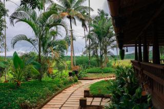Wayal Wayanad Farm Resort - Panamaram - 9