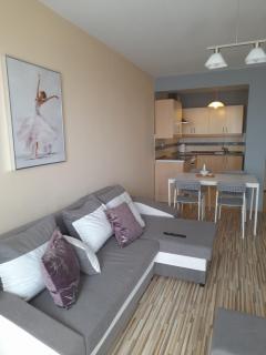 Apartament z Garażem blisko Lotniska - Piaseczno - 6