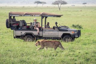Cherero Camp - Serengeti - 7