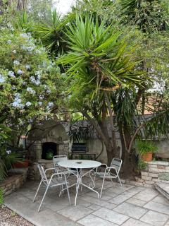 Les palmiers - Fréjus - 7