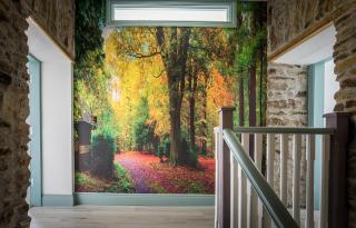 Curragh House - Kinsale - 5