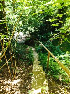 chata Zorka - Opařany - 6