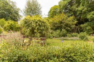 Manderley - 3