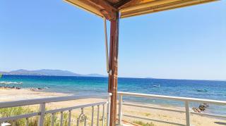 Maisonette Wave - Metamorfosi - 0