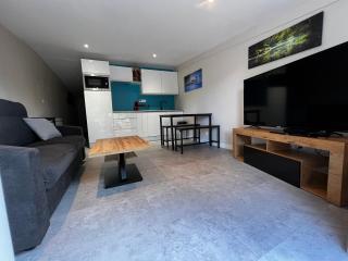 Les Cygnes au bord du loing - 4