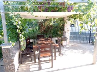 La Rosa dell'Etna - 7