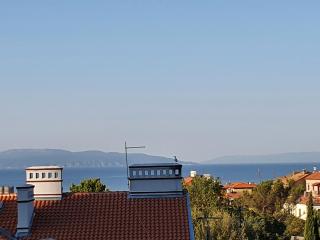 Bright apartment Bloom - free parking and WiFi - Rijeka - 2