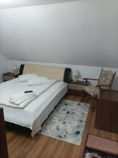 Vila Alpina Olănești - 3